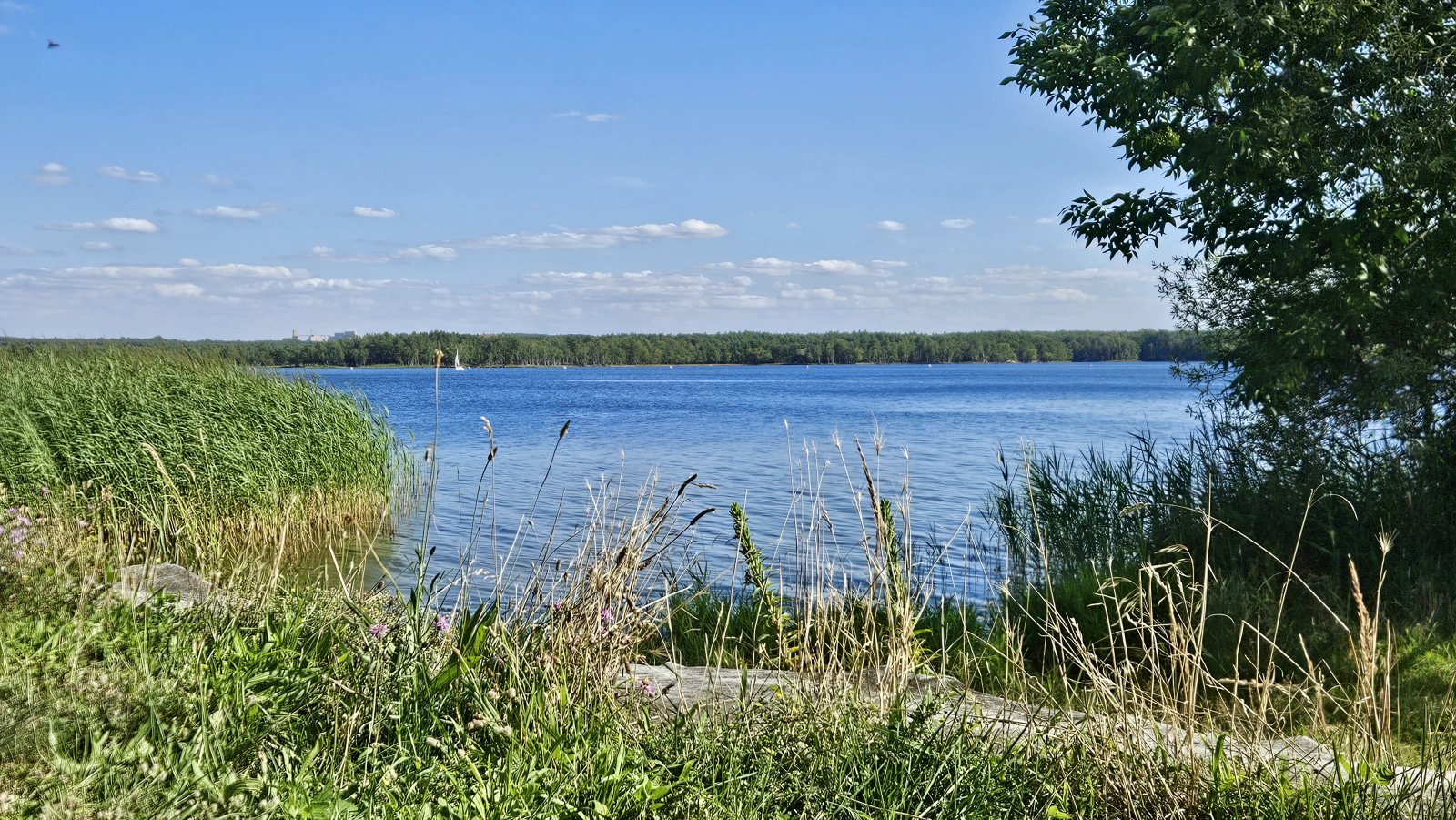 Senftenberger See