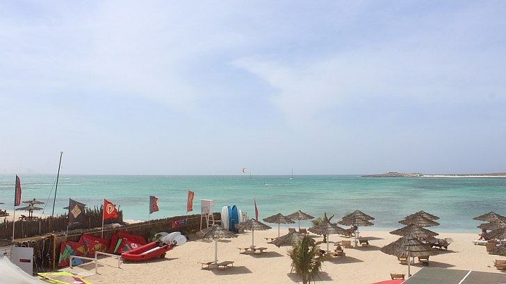 Webcam Tortuga